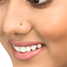 14k Simple Gold Nosepin From Online Exclusive - Image 5