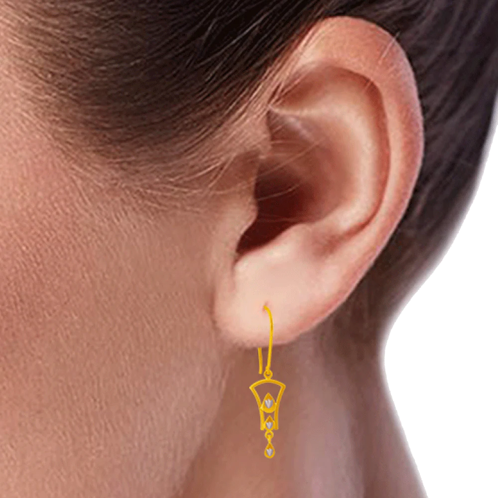 14KT (585) Yellow Gold Clip-on Earrings For Women - Image 2