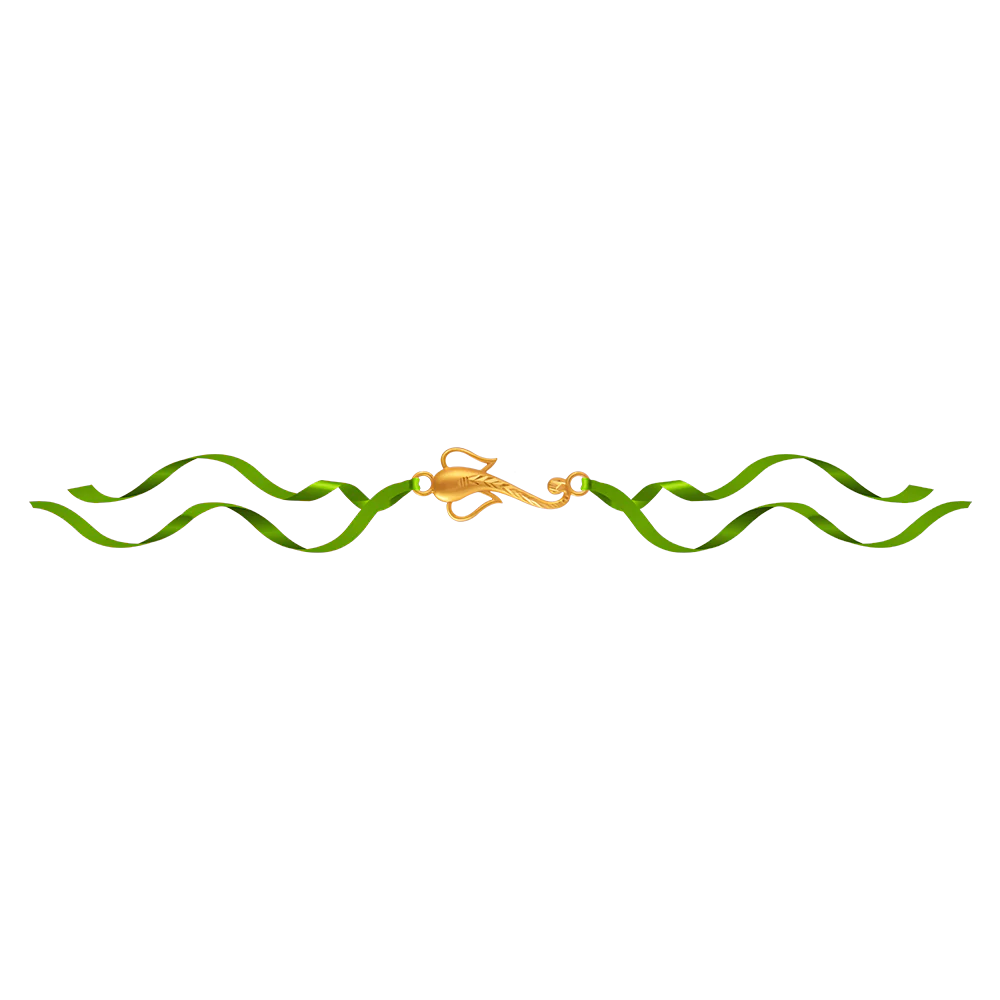14KT (585) Yellow Gold Rakhi - Image 3