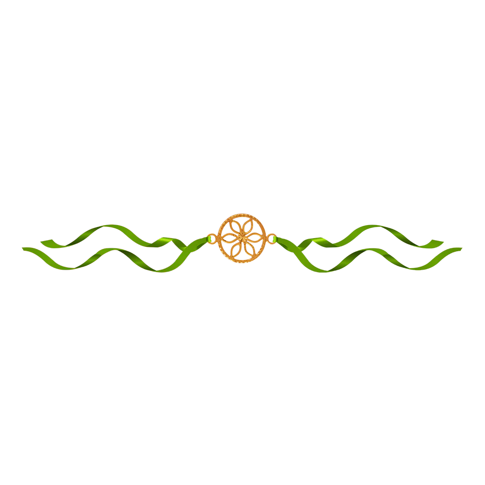 14KT (585) Yellow Gold Rakhi - Image 3
