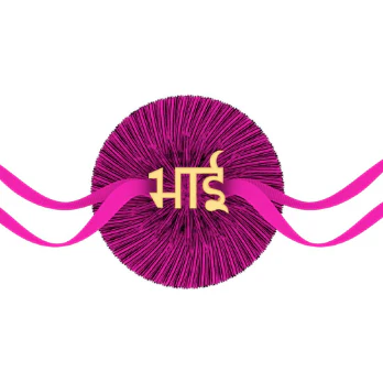 18k Gold Rakhi With Bhai Written In Hindi - Image 2