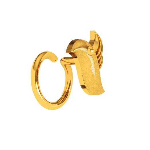 Bird Themed Cute Gold Nose Pin - Image 6